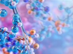 ProteinReDiff: Tăng tốc dự đoán sự liên kết protein-phối tử